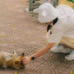 Annual Wellness Checkups: 7 Proven Ways to Avoid Costly Pet Health Mistakes
