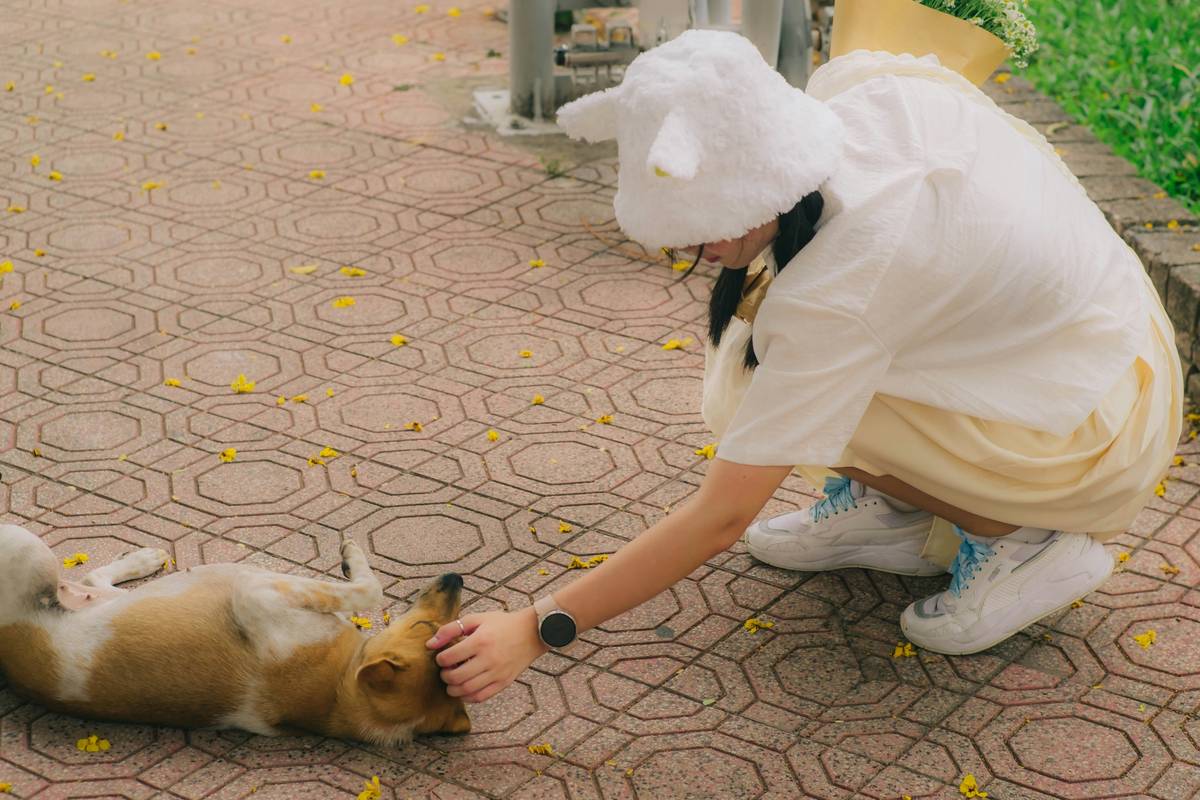 Annual Wellness Checkups: 7 Proven Ways to Avoid Costly Pet Health Mistakes